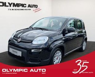 Fiat Fiat Panda 1.0 Hybrid Firefly KLIMAANLAGE CITY CRU Gebrauchtwagen