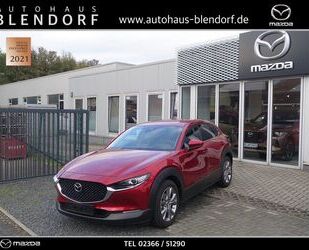 Mazda Mazda CX-30 Selection Automatik Navi|MatrixLED|Kam Gebrauchtwagen