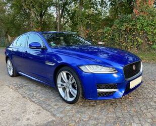 Jaguar Jaguar XF 30d British Design LED CARPLAY PANO LEDE Gebrauchtwagen