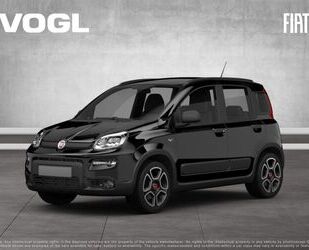 Fiat Panda Gebrauchtwagen