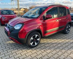 Fiat Fiat Panda Cross (RED) Sondermodell Gebrauchtwagen