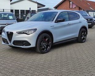 Alfa Romeo Alfa Romeo Stelvio Competizione Q4 #Ragazzon Gebrauchtwagen