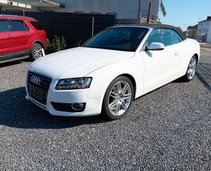 Audi Audi A5 Cabriolet 2.0 TFSI Quattro / Leder/Navi/Xe Gebrauchtwagen