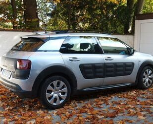 Citroen Citroën C4 Cactus BlueHDi 100 S&S Shine Shine Gebrauchtwagen