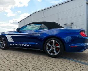 Ford Ford Mustang -3,7L-V6-Cabrio-Kamera-Automatik-BRC- Gebrauchtwagen