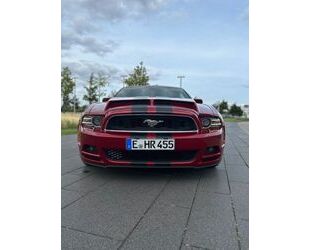 Ford Ford Mustang 3.7 V6 Cabrio - SHZ - Klima - Tempoma Gebrauchtwagen