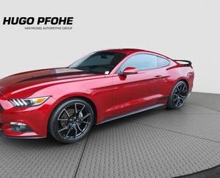 Ford Ford Mustang Fastback Coupé 2.3 EB Autom XENON RFK Gebrauchtwagen