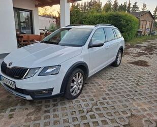 Skoda Skoda Octavia 2.0 TDI SCR DSG 4x4 Scout Combi Scou Gebrauchtwagen