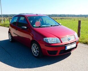 Fiat Fiat Punto 1.2 8V - Gebrauchtwagen