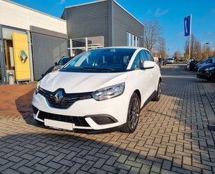 Renault Renault Scenic Life TCe 115 Gebrauchtwagen