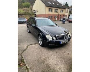 Mercedes-Benz Mercedes-Benz E 500 T AVANTGARDE Avantgarde Gebrauchtwagen