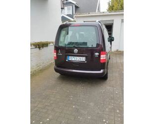 VW Volkswagen Caddy 1,2TSI 63kW Roncalli Edition 5-Si Gebrauchtwagen