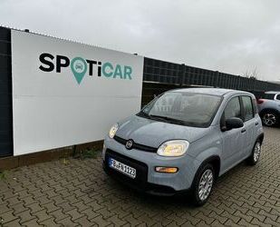 Fiat Fiat Panda Hybrid KLIMA RADIO DAB Gebrauchtwagen