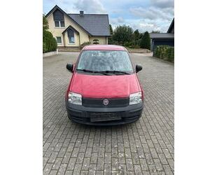 Fiat Fiat Panda Gebrauchtwagen