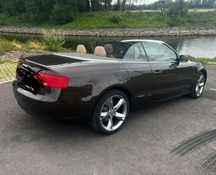 Audi Audi A5 2.0 TDI multitronic Cabriolet - Gebrauchtwagen