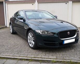 Jaguar Jaguar XE 25t 240PS Prestige 8-Gang-Automatik 4-tü Gebrauchtwagen