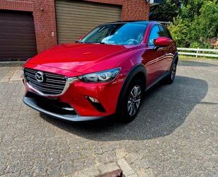 Mazda Mazda CX-3 2.0 SKYACTIV-G 121 Signature+ FWD Signa Gebrauchtwagen