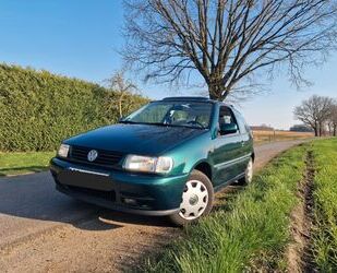 VW Volkswagen Polo 1.0 XXL XXL Gebrauchtwagen