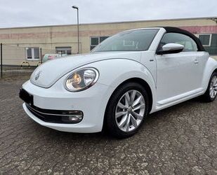 VW Beetle Gebrauchtwagen