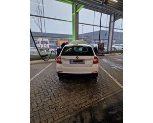 Skoda Skoda Rapid 1.4 TDI DSG Drive Spaceback Drive Gebrauchtwagen