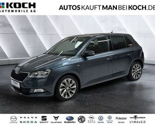 Skoda Skoda Fabia 1.0 TSI Clever OPF (EURO 6d) ACC SHZ 2 Gebrauchtwagen