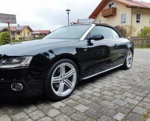 Audi Audi A5 1.8 TFSI Cabrio -S-line,Steuerk.,Insp.,Neu Gebrauchtwagen