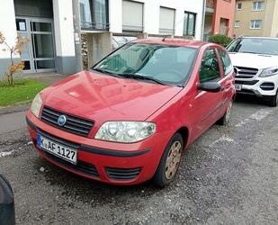 Fiat Fiat Punto 1.2 8V - Gebrauchtwagen