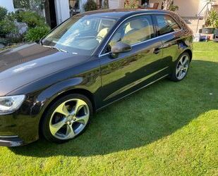 Audi Audi A3 2.0 TDI Ambition *HU neu & Zahnriemen neu* Gebrauchtwagen