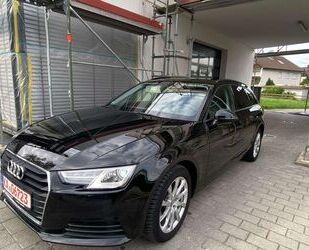 Audi Audi A4 35 TDI basis Gebrauchtwagen