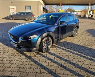 Mazda Mazda CX-30 2.0 e-SKYACTIV-G M-Hybrid - Gebrauchtwagen