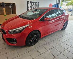 Kia Kia ceed / Ceed 1.6 T-GDI GT-Track GT-Track Gebrauchtwagen