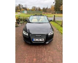 Audi Audi A3 1.6 Cabrio Klima,Service u.Tüv neu Gebrauchtwagen