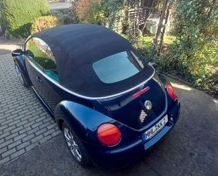 VW Volkswagen Beetle Gebrauchtwagen