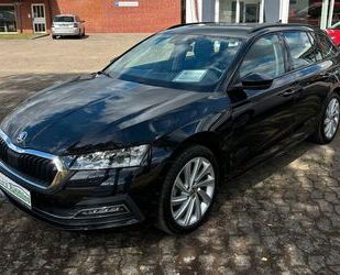 Skoda Skoda Octavia Combi First Edition 1.5 TSI 6-Gang Gebrauchtwagen