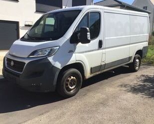 Fiat Fiat Ducato L2H1, 148 PS, fahrbereit ohne HU Gebrauchtwagen