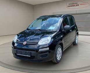 Fiat Panda My , Klima , Gebrauchtwagen